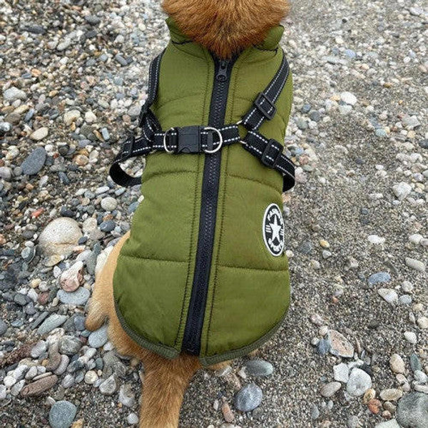 Dog Jacket