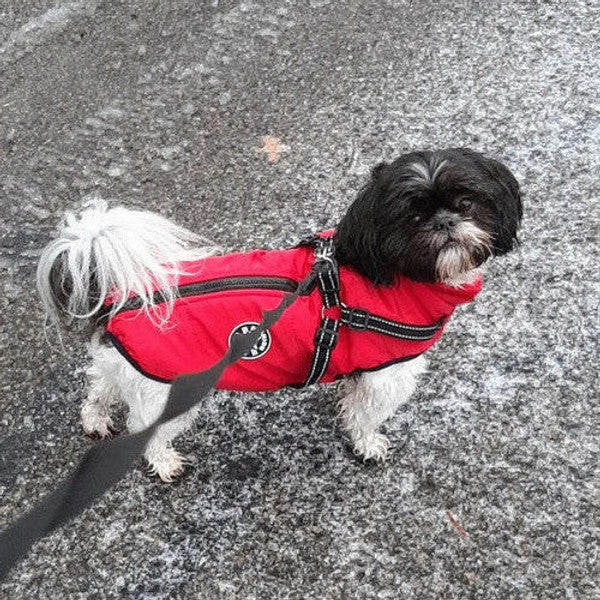 Dog Jacket