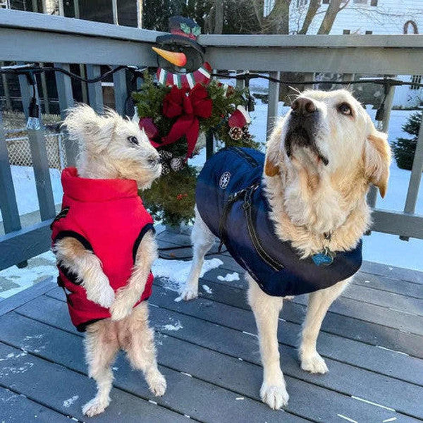 Dog Jacket