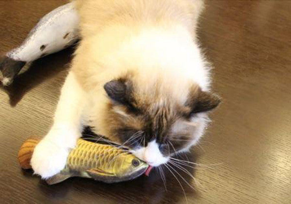 Realistic Flopping Fish Toy for Cats