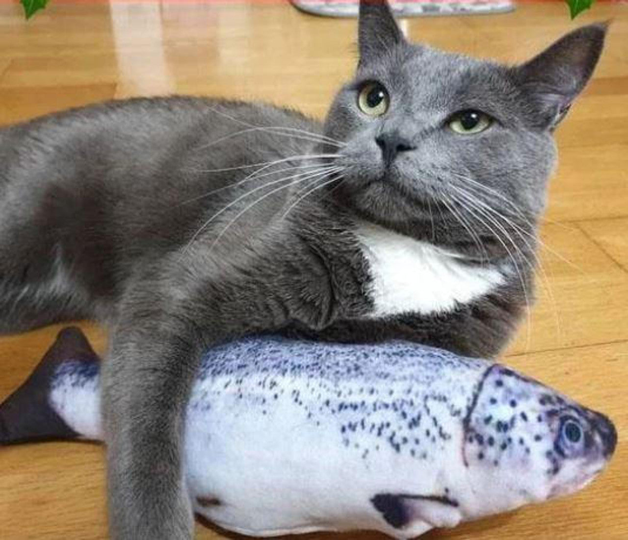 Realistic Flopping Fish Toy for Cats